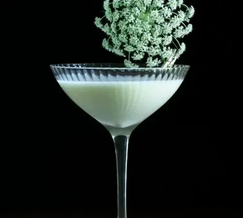 cocktail bianco cremoso in una coupé con fiore grande.' title=