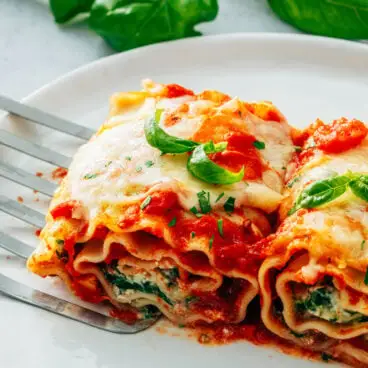 Roll-up di lasagne
