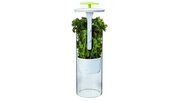 Economizador de Ervas | Molho de coentro bem verde | A melhor maneira de armazenar coentro