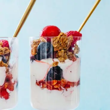 Perfektní jogurt