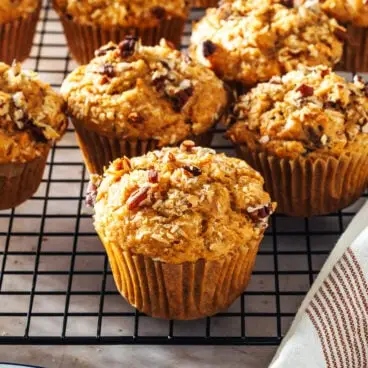 Muffinki Morning Glory
