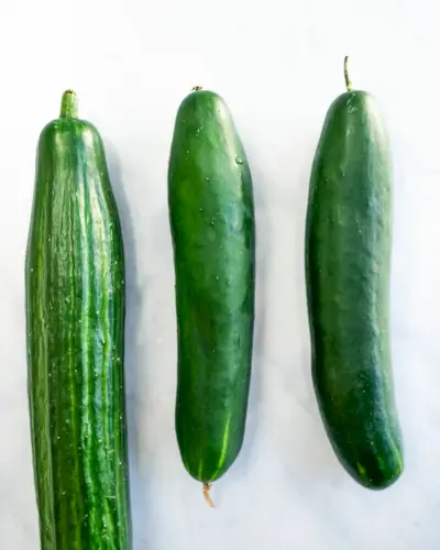 Englische Gurke