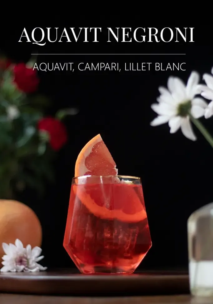 aquavit-negroni-cocktail-recette-par-moody-mixologist-1723724' title=