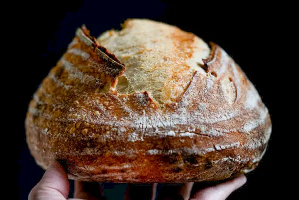 Melhor receita de pão de massa fermentada | Como fazer pão de massa fermentada | receita de pão de fermento com entrada
