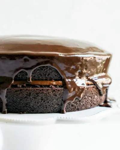 Melhor Bolo de Chocolate Vegano