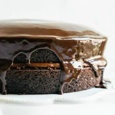 Melhor Bolo de Chocolate Vegano