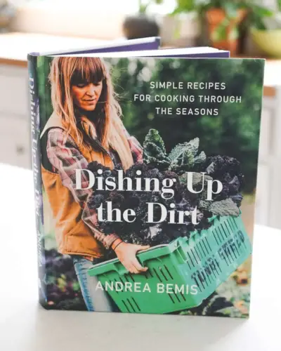 Livro de receitas lavando a sujeira