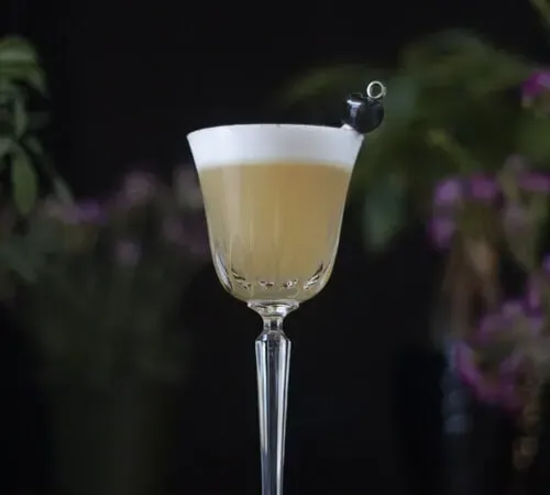 Augustum-whisky-sour-sour-golden-hone-tour' title=