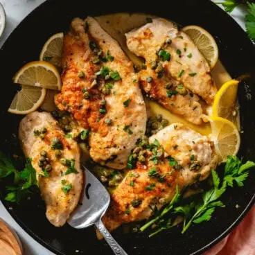Pollo tritato