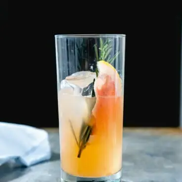 Cocktail de lévriers