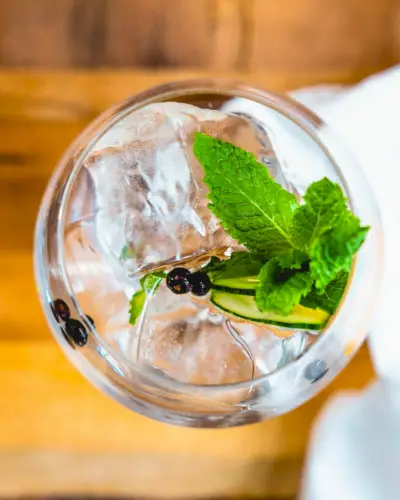 Garniture de gin tonic