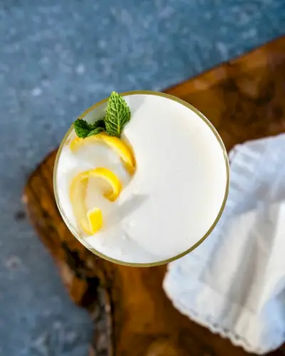 Ingredientes do gin fizz