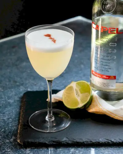 pisco aigre