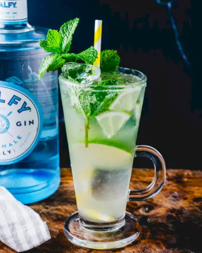 Gin Mojito