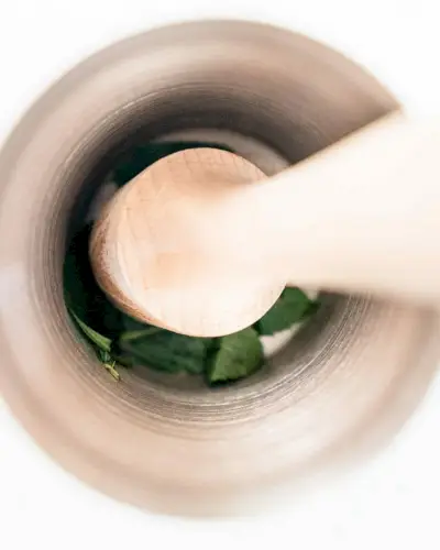 Comment écraser le basilic
