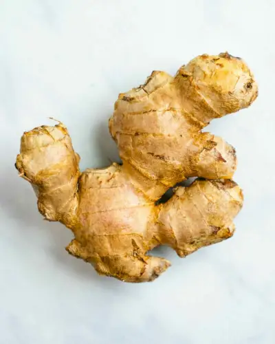 Ingwerwurzel