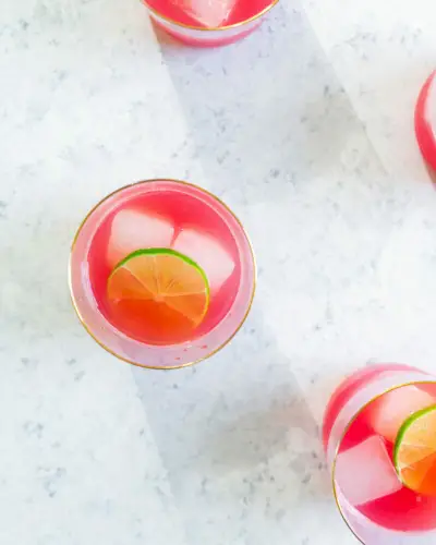 Wassermelonengänseblümchen