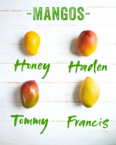 tipos de mangos