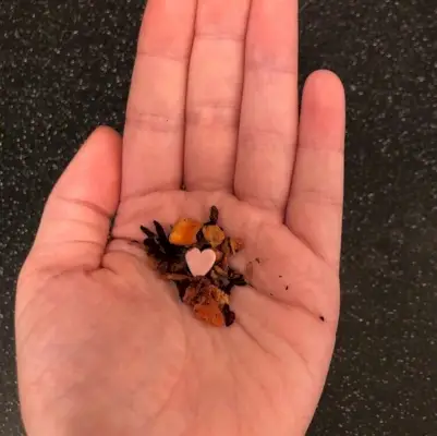 DAVIDsTEA スウィートタルトハーブティーリーフ