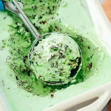 Glace à la menthe et aux pépites de chocolat
