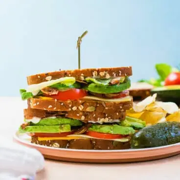 panino all'avocado