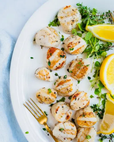 Coquilles Saint-Jacques grillées
