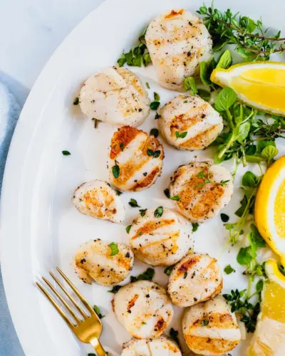 Coquilles Saint-Jacques grillées