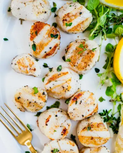 Coquilles Saint-Jacques grillées