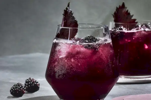 Spritz de vinho tinto Blackberry-Shiso
