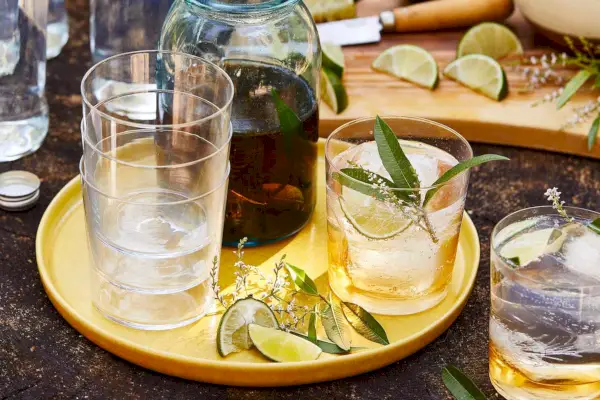 Verbena infuzovaná tequila a tonikum recept