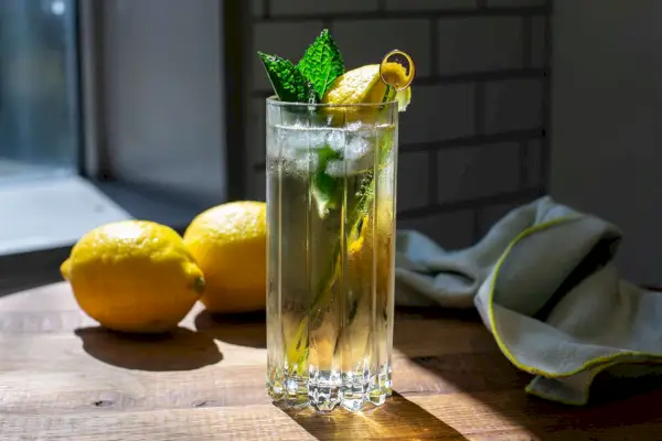 Rebujito