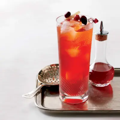 Cocktail aux canneberges et aux épices