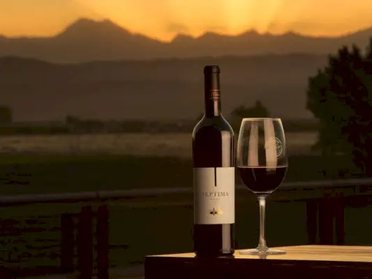 Bodega Septima Malbec 2016 Mendoza