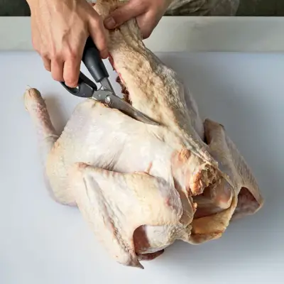 Technika Spatchcock Turkey