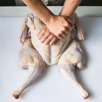 Technika Spatchcock Turkey Flatten