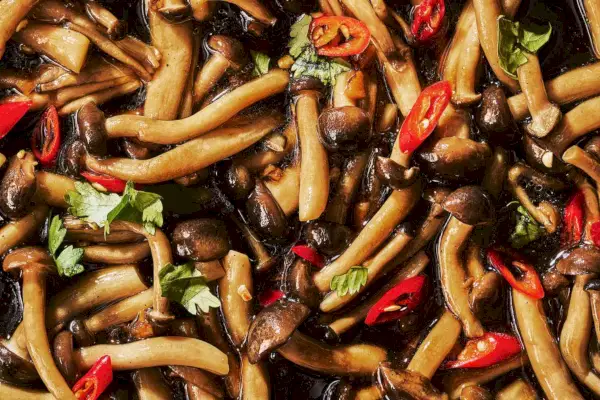 salada de cogumelos de faia com vinagre preto e pimenta
