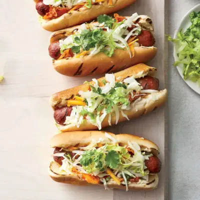 Kogi-Hunde