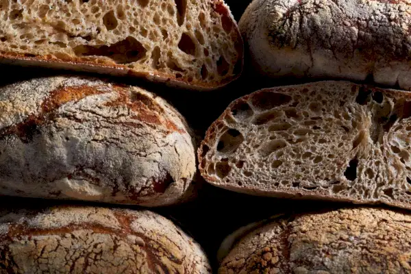 Guia de fermento fermentado para pão
