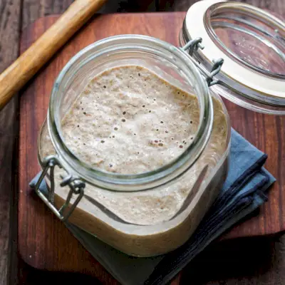 Guia de fermento fermentado para pão