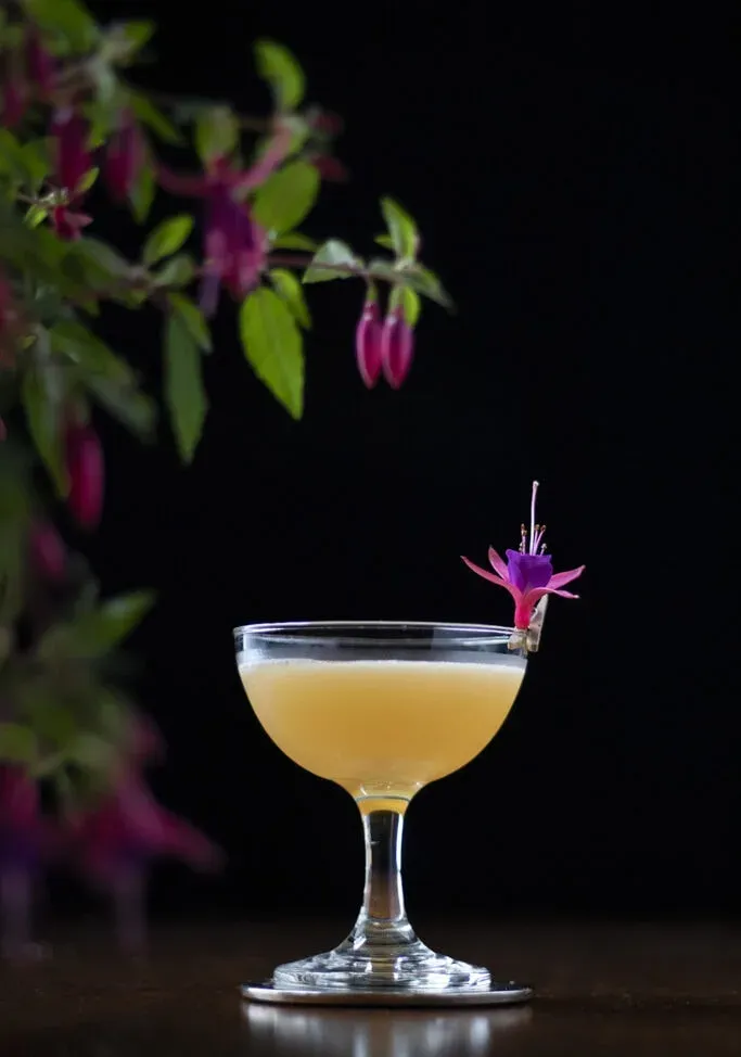 daiquiri au rhum agricole garni de fleurs fuchsia' title=