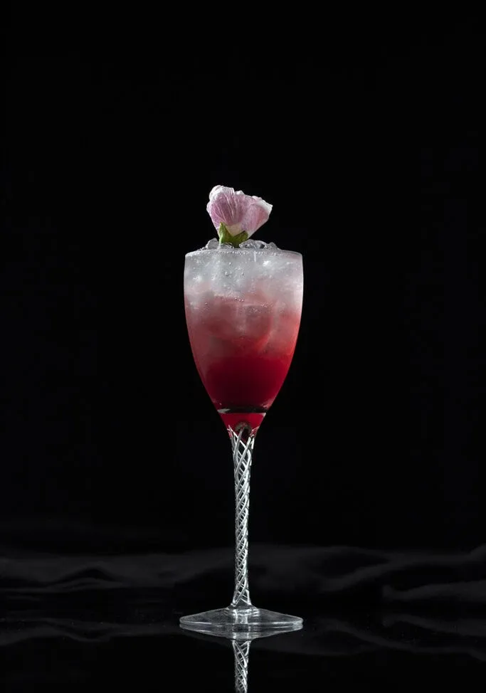 Garniture de fleurs d'hibiscus' title=