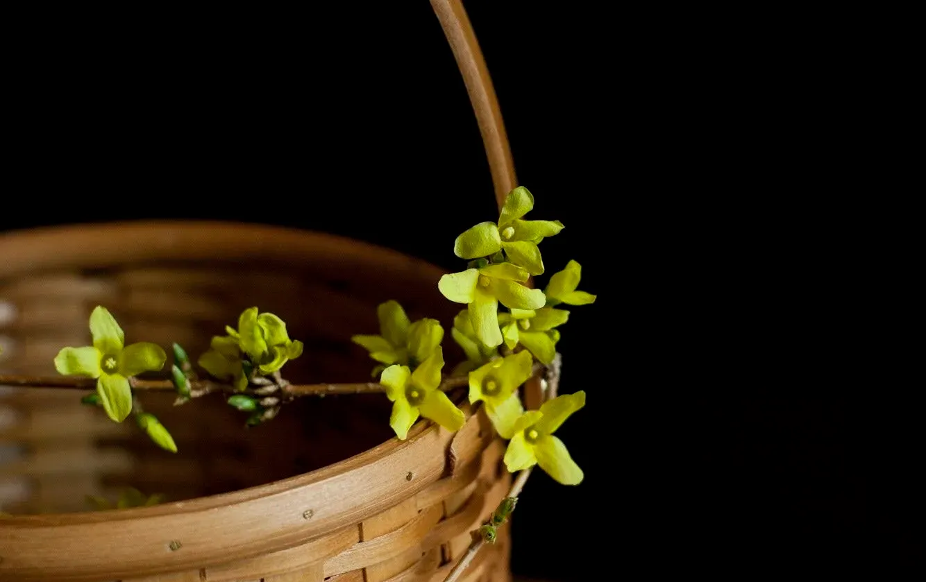 img_4033-3426003' loading='lazy' title=