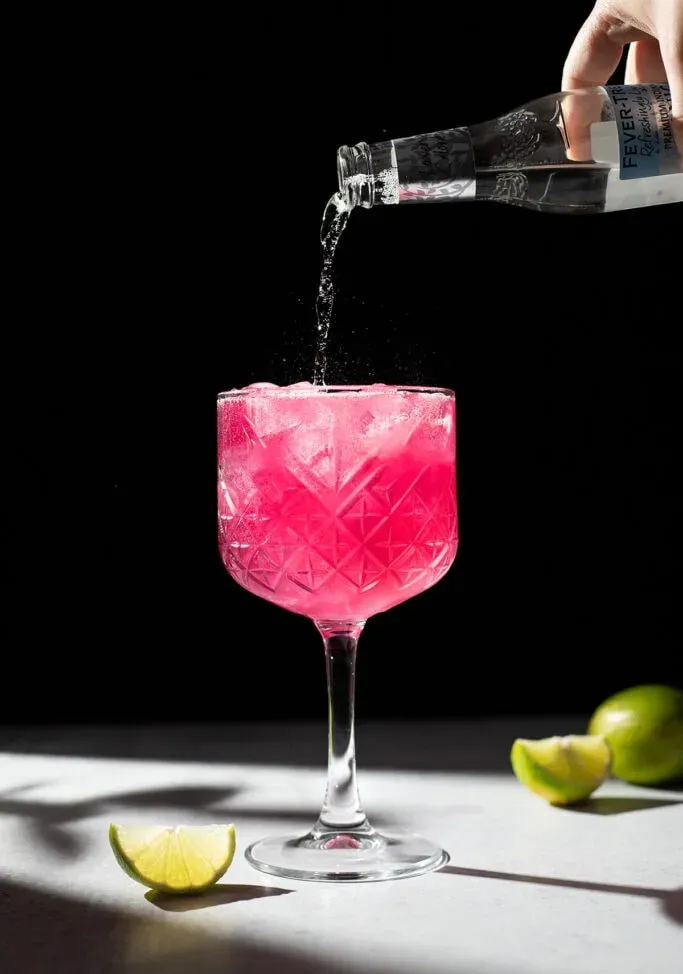 Čučoriedkový gin a tonic' title=