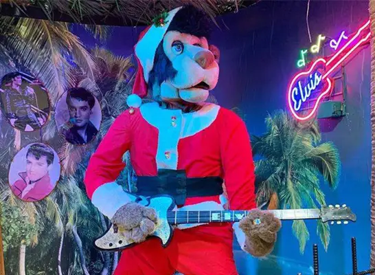 jungle jim
