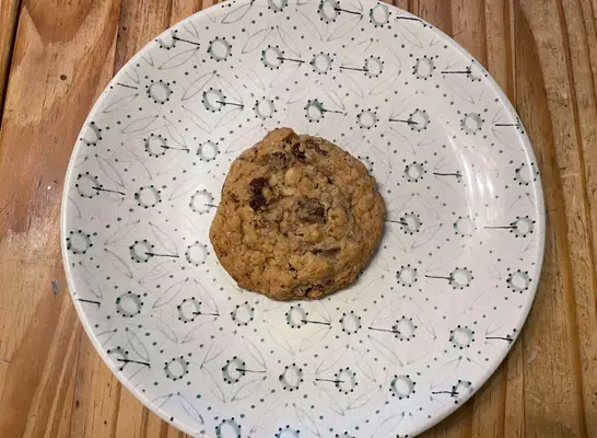 costco oatmeal raison cookie on a printed plate.