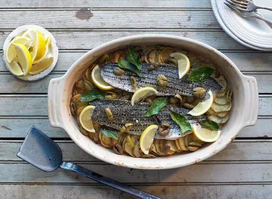 striped bass