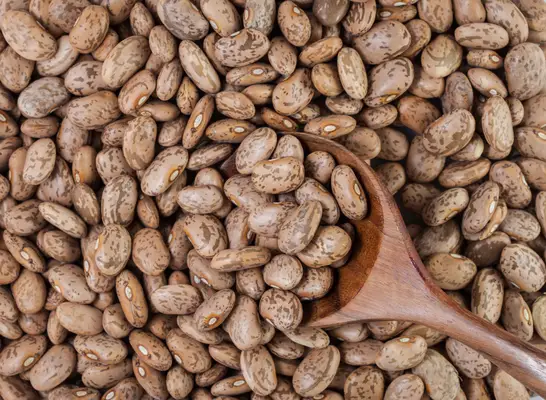 Pinto beans