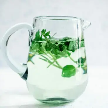 Einfaches Minzwasser-Rezept