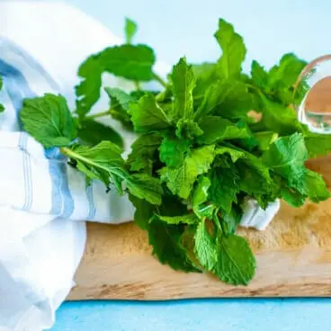 Comment couper la coriandre