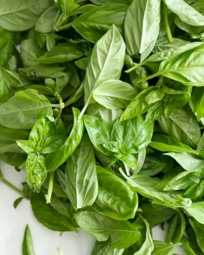 Chiffonade